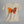 Wild Child Free Butterfly T-Shirt