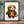 Full Image